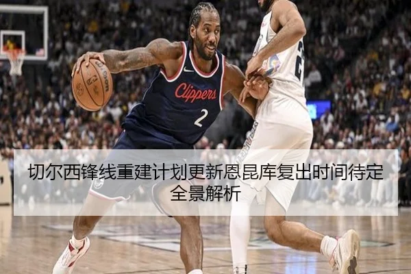 切尔西锋线重建计划更新恩昆库复出时间待定全景解析
