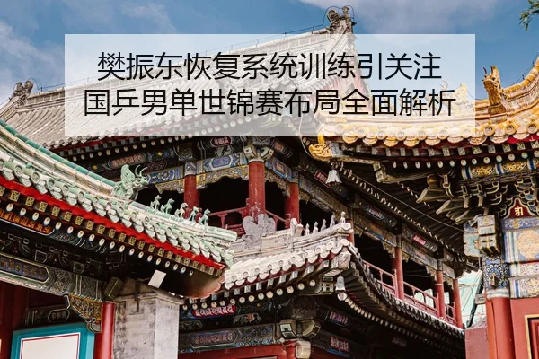 樊振东恢复系统训练引关注 国乒男单世锦赛布局全面解析